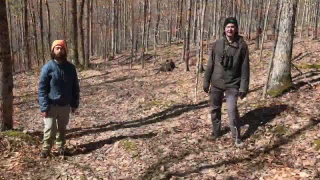 Obejrzyj teraz: Allegany Wildlands